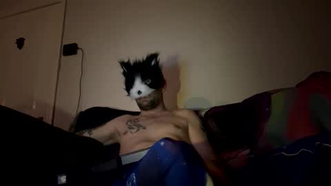 Snapshot of alex_essex69 chatting on 02/26/26, 12:42 alex_essex69 online show from 02/26/26, 12:42