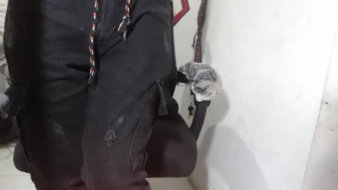 Alexamdergal online show from 03/12/26, 12:17