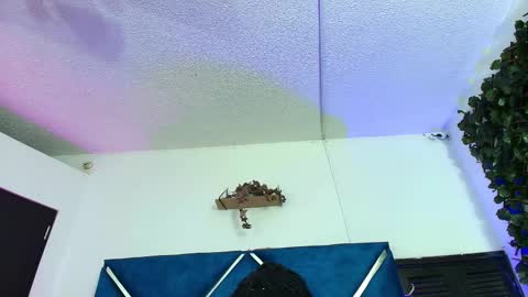 Alexa online show from 02/24/26, 01:47