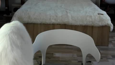 Alex online show from 02/19/26, 04:30