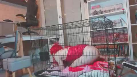 alexas_owned_bitch online show from 05/30/26, 10:29