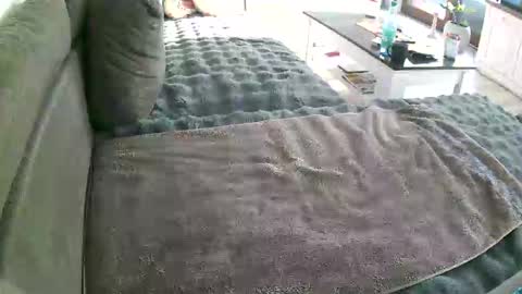 Doggystyle online show from 01/10/26, 10:17