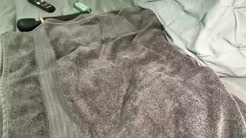 Snapshot of alexis_696969 chatting on 12/13/24, 11:34 Alexis online show from 12/13/24, 11:34