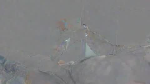 Alexsmith9876 online show from 04/02/26, 02:15