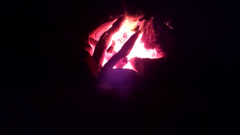 AlexThyCat online show from 09/28/25, 04:18