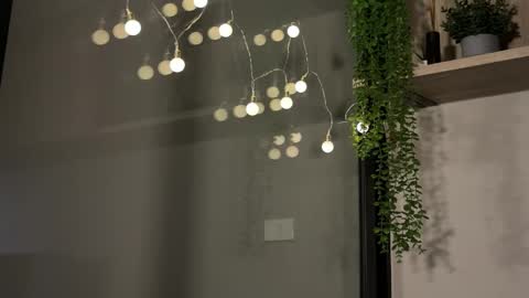 Snapshot of alexwos chatting on 01/23/25, 06:17 Alex online show from 01/23/25, 06:17