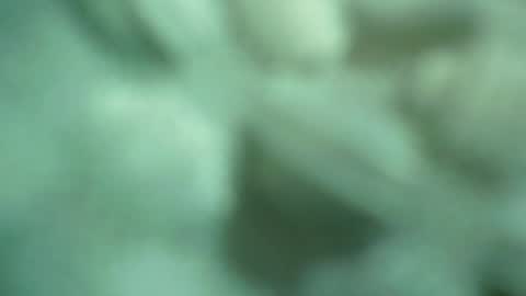 ali_asianguyuk online show from 12/01/25, 01:32