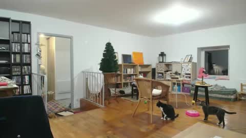 Snapshot of alice8363 chatting on 12/06/24, 05:53 Alice online show from 12/06/24, 05:53