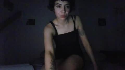 Snapshot of alice_fairy_ chatting on 07/23/26, 08:01 alice_fairy_ online show from 07/23/26, 08:01