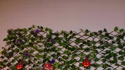 Snapshot of alice_rous21 chatting on 10/22/25, 02:50 alice_rous21 online show from 10/22/25, 02:50