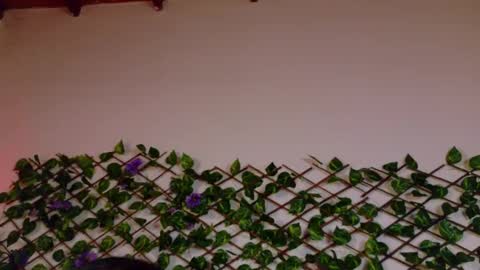 Snapshot of alice_rous21 chatting on 10/23/25, 01:54 alice_rous21 online show from 10/23/25, 01:54