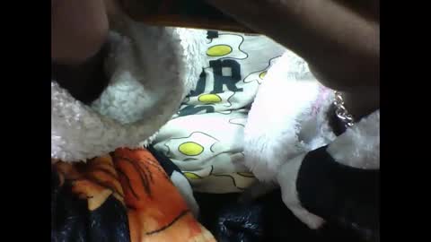 Snapshot of alicia253177 chatting on 09/10/25, 06:30 alicia253177 online show from 09/10/25, 06:30