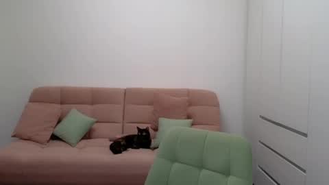 alicianoveli online show from 02/24/25, 11:43