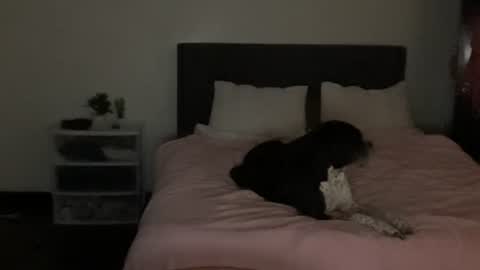 spaceprincess online show from 04/22/26, 05:43