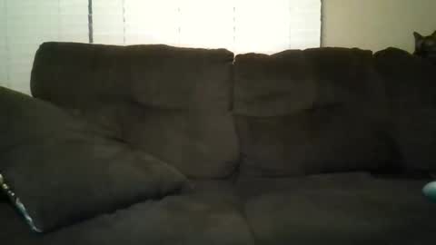 Snapshot of aliendick2274 chatting on 02/24/26, 08:23 aliendick2274 online show from 02/24/26, 08:23