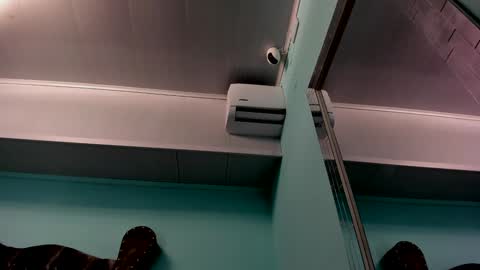 Alice online show from 12/31/24, 10:58