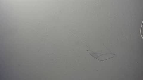 alison smith online show from 01/04/25, 06:51