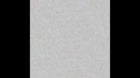 Alisse online show from 02/16/26, 12:01