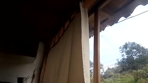 Snapshot of alisson369_ chatting on 02/13/25, 03:03 Alisson369 online show from 02/13/25, 03:03