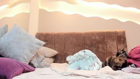 Alisson online show from 04/01/26, 01:41