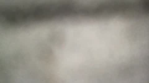 all_most_sane online show from 06/25/26, 06:34