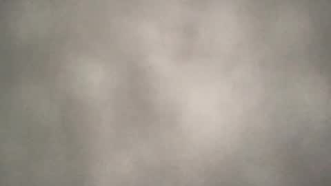 all_most_sane online show from 08/07/26, 07:49