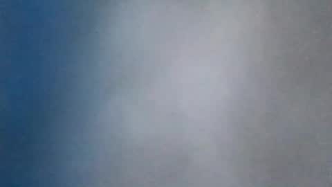 all_most_sane online show from 08/08/26, 03:03
