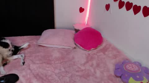 Snapshot of all_smiles_here chatting on 02/23/25, 01:02 Lola online show from 02/23/25, 01:02