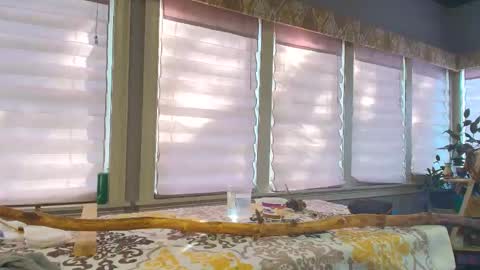 wishlist on bio online show from 10/25/25, 07:08