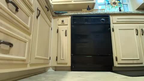 wishlist on bio online show from 12/04/25, 07:22