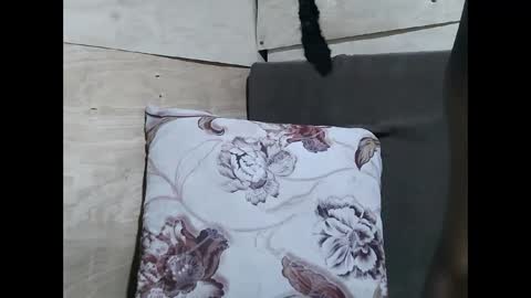 Snapshot of allie_quin chatting on 02/10/26, 11:14 Allie online show from 02/10/26, 11:14