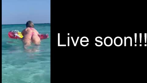 Snapshot of alliesynns chatting on 12/17/25, 05:46 Allie online show from 12/17/25, 05:46