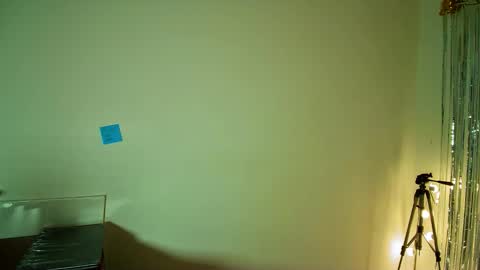 Snapshot of allisson_rose chatting on 11/07/25, 04:45 Alli online show from 11/07/25, 04:45