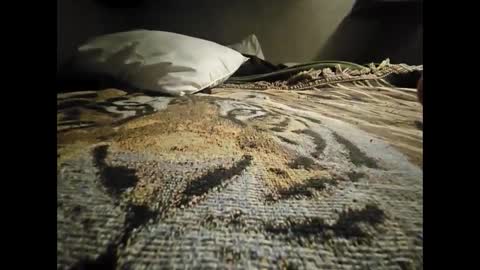 Allnikkiallday1 online show from 01/18/25, 08:41