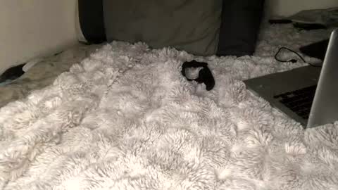 Snapshot of allthewayup10 chatting on 03/02/25, 08:38 allthewayup10 online show from 03/02/25, 08:38