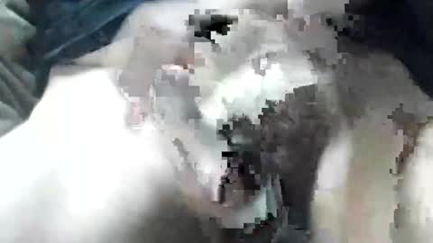 Snapshot of allways395 chatting on 09/28/25, 03:34 allways395 online show from 09/28/25, 03:34