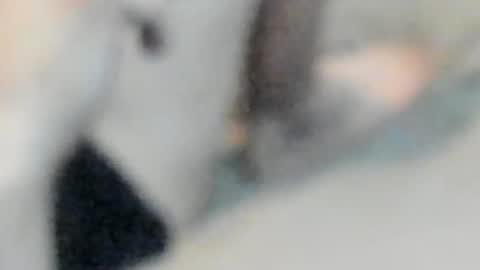 Snapshot of allways395 chatting on 10/25/25, 05:04 allways395 online show from 10/25/25, 05:04