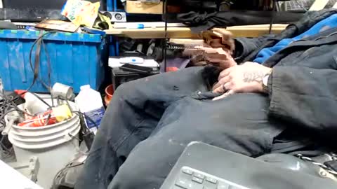 allwolf0323 online show from 04/17/26, 09:23