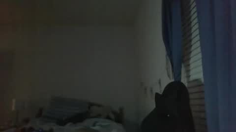 Snapshot of ally12334 chatting on 10/25/25, 02:30 ally12334 online show from 10/25/25, 02:30