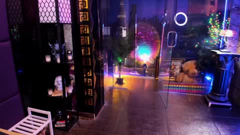 Alma online show from 02/28/26, 08:37