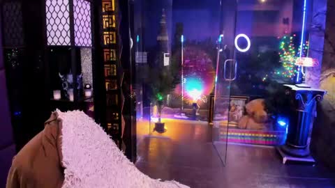 Alma online show from 04/18/26, 10:30