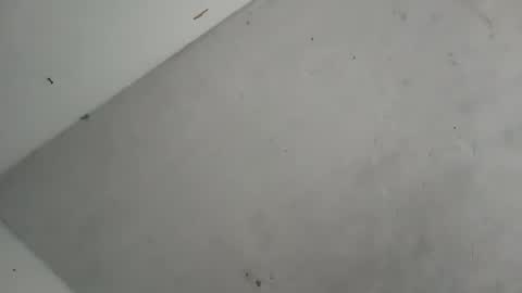 Snapshot of alondracc chatting on 10/07/25, 12:13 Contreras online show from 10/07/25, 12:13