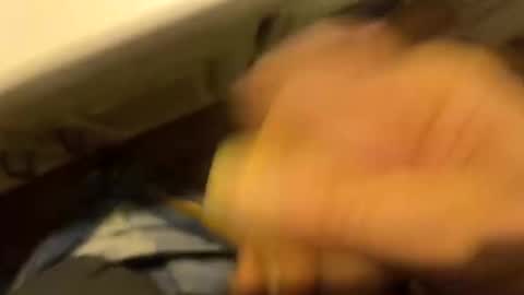 alostmale online show from 01/31/26, 09:02