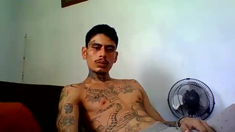 Alpha Zom online show from 04/24/26, 09:06