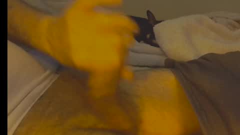 Snapshot of alphablue_wolf1295 chatting on 01/02/25, 06:29 alphablue_wolf1295 online show from 01/02/25, 06:29