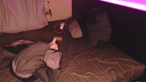 Snapshot of alvin__main chatting on 12/20/24, 01:36 Alvin Puska -- online show from 12/20/24, 01:36