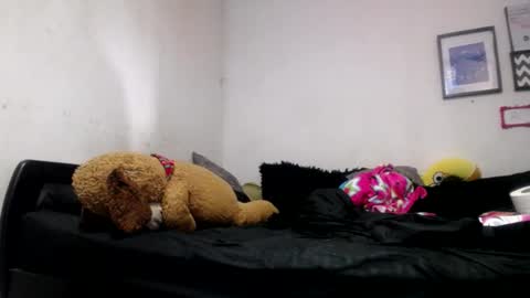 Alyn Maria online show from 06/24/26, 06:51