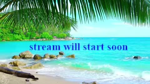 Amalia online show from 01/21/25, 12:50