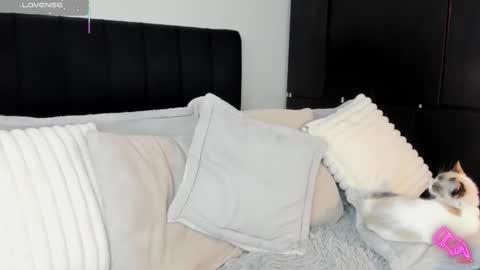 -  A M A R A - online show from 02/13/25, 08:55