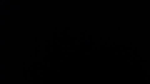 Amarantha online show from 01/10/25, 01:09